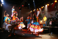 Carnaval 2010 - Show de "Os Matingueiros" em Petrolina