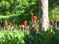 Parque da Jaqueira.
