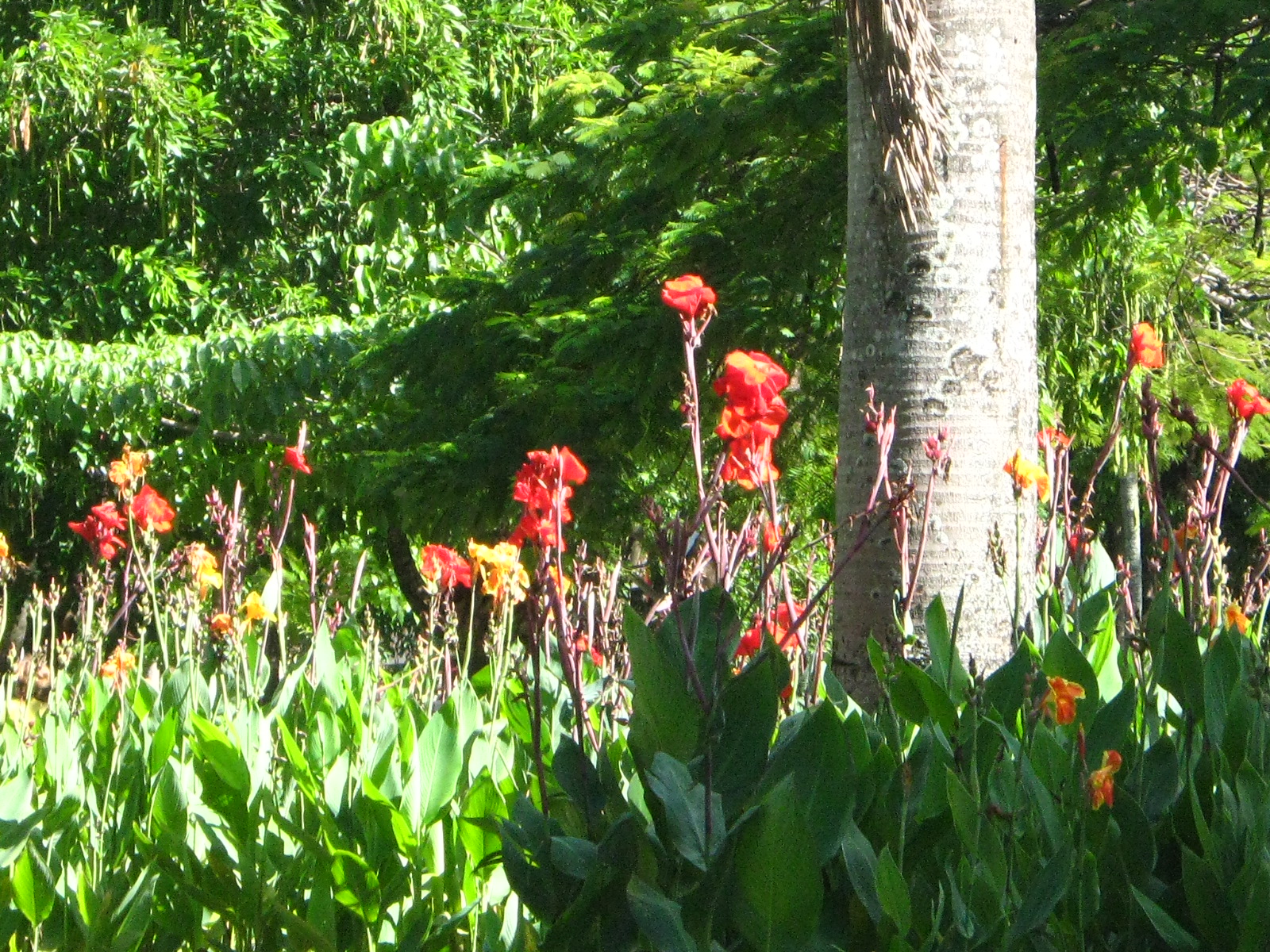 Parque da Jaqueira.