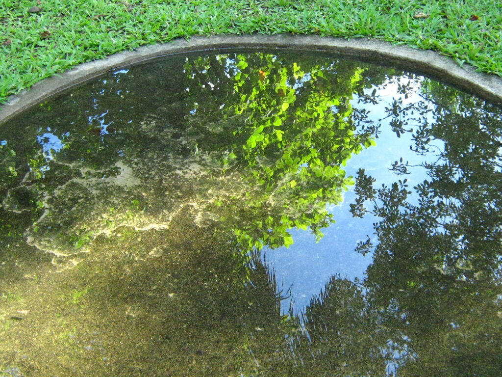 Meu reflexo no lago. Meu nome é Parque da Jaqueira.