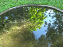 Meu reflexo no lago. Meu nome é Parque da Jaqueira.