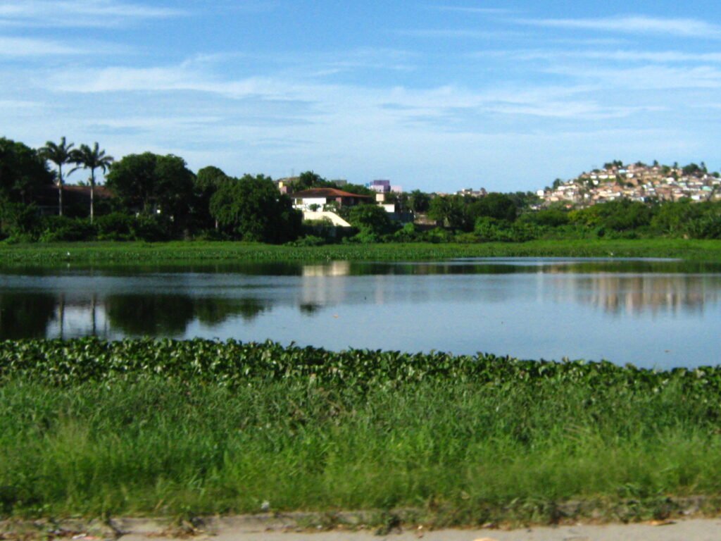 Açude de Apipucos.