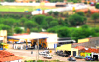 Cedro Pernambuco