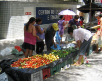 A Feira da cidade de Panelas PE