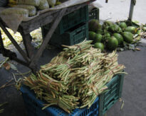 A Feira da cidade de Panelas PE