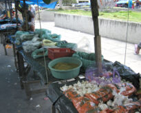A Feira da cidade de Panelas PE