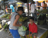 A Feira da cidade de Panelas PE