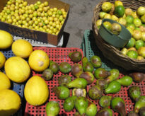 A Feira da cidade de Panelas PE