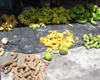 A Feira da cidade de Panelas PE