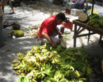 A feira livre da cidade de Panelas PE