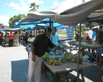 A feira livre da cidade de Panelas PE