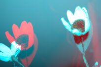 Flores artificiais.
