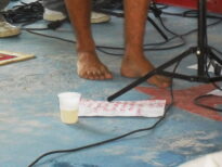 Quando voam os Besouros