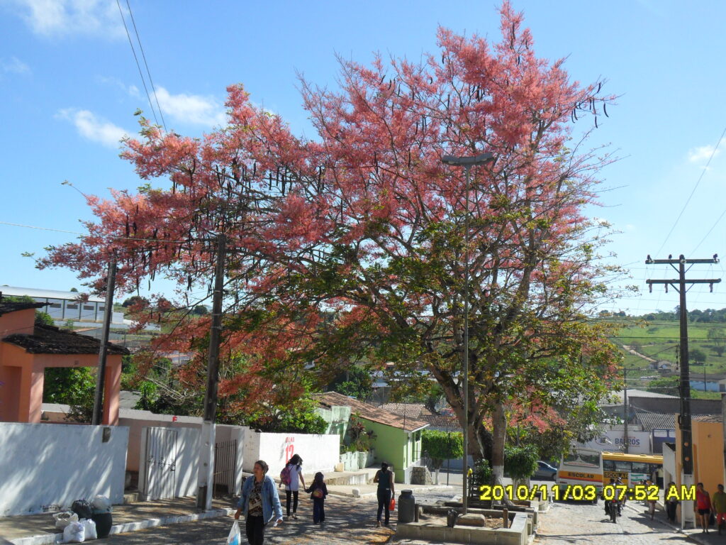 BREJÃO/PE