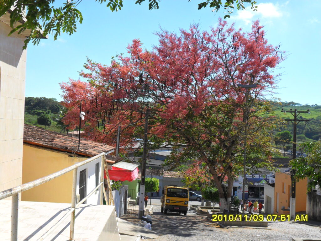 BREJÃO/PE