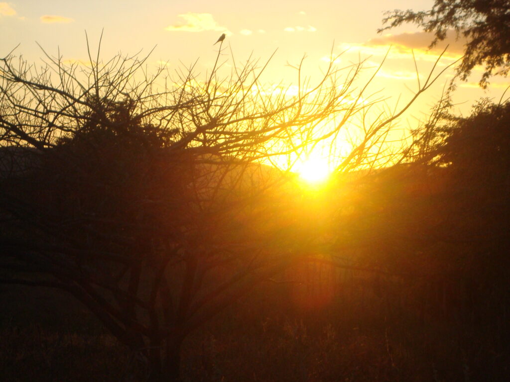 Cores do arrebol 2