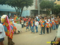 boi-janeiro de são vicente do rio doce- tarumirim