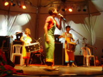 Musical Brincando de Brincar