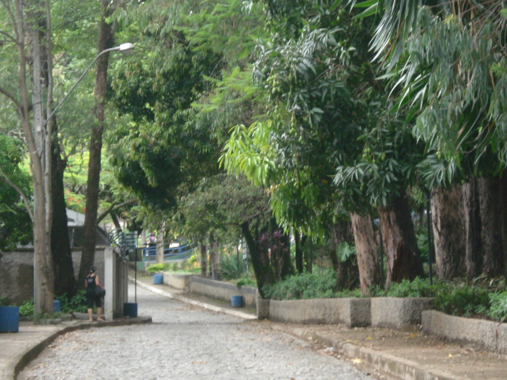 O Sesc Venda Nova, com sua diversa arquitetura, fauna e flora, inspira tranquilidade e reflexão aos cineclubistas