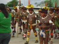 Teia 2008