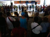 Shows