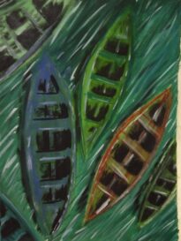 canoas de cores (vendido)