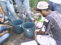 Preparado biodinâmico