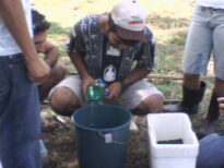 Praticando Agroecologia
