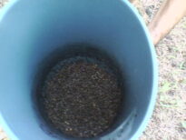 Praticando Agroecologia
