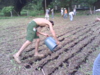 Praticando Agroecologia