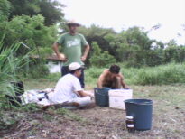 Bruno/Engenheiro Agronomo
