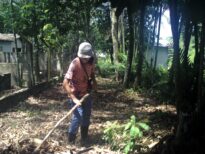 Área do IARA