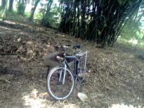 Transporte ecológico