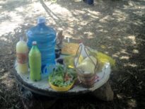 Praticando Agroecologia