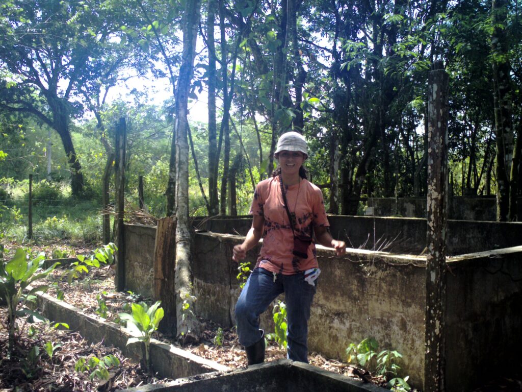 Mery Jany/Engenharia Florestal
