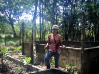 Mery Jany/Engenharia Florestal
