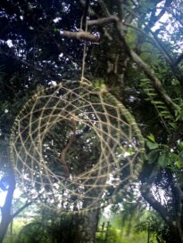Praticando Agroecologia