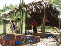 Permacultura em vivo