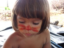 Flor das Abelinhas