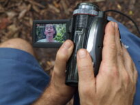 Percibir correctamente
