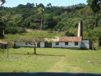 Engenho Guarita