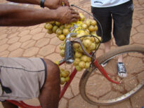 Uma Viagem Fotográfica ao Fórum Social Mundial 2009