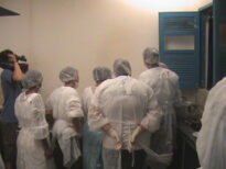 culinária