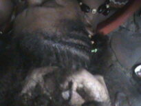 Tranças afro