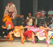 Urutau Mãe-da-Lua