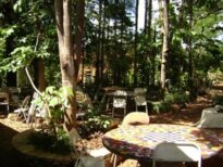 Restaurante do IPEC/GO.