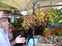 Pupunhas no mercado do Ver-o-peso, Belém / PA.
