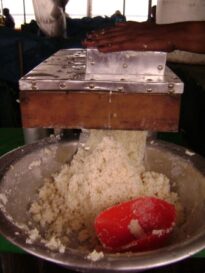 Macaxeira ralada para fazer bolo, iguaria da culinári