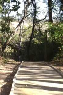 Caminho
