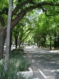 Caminho para UMAPAZ